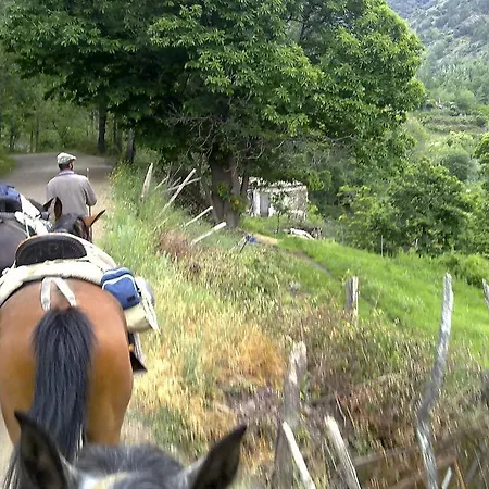Bed & Breakfast Refugio Alpujarra Alta