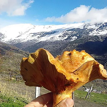 Refugio Alpujarra Alta