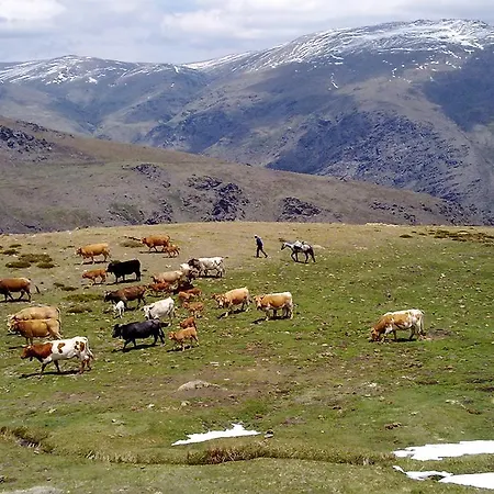 Refugio Alpujarra Alta Trevelez