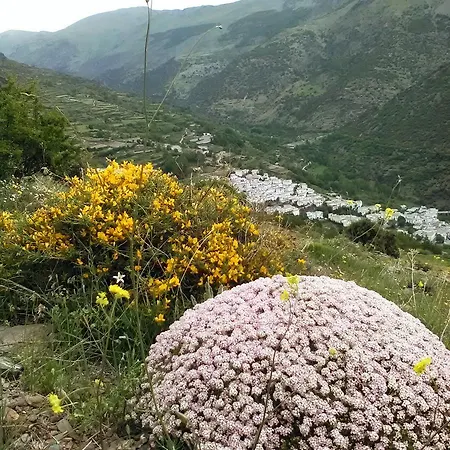 Refugio Alpujarra Alta Bed & Breakfast *