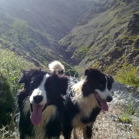 Refugio Alpujarra Alta
